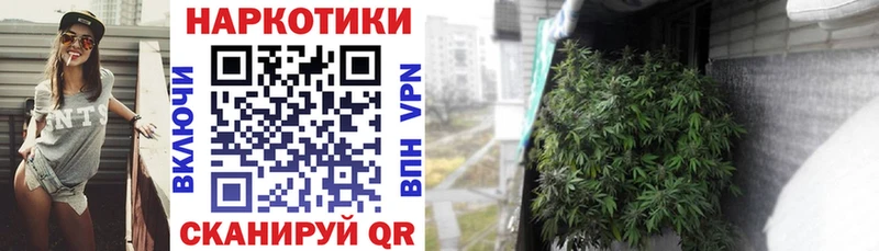 Купить наркотики сайты Петропавловск-Камчатский COCAIN Alpha-PVP ОМГ ОМГ сайт ГАШ Канабис МЕФ