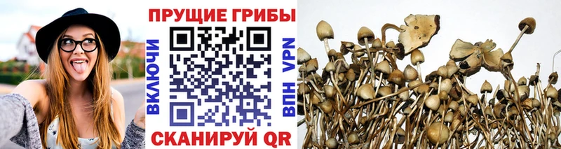 Галлюциногенные грибы GOLDEN TEACHER  Петропавловск-Камчатский 