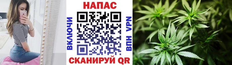 Канабис сатива Петропавловск-Камчатский